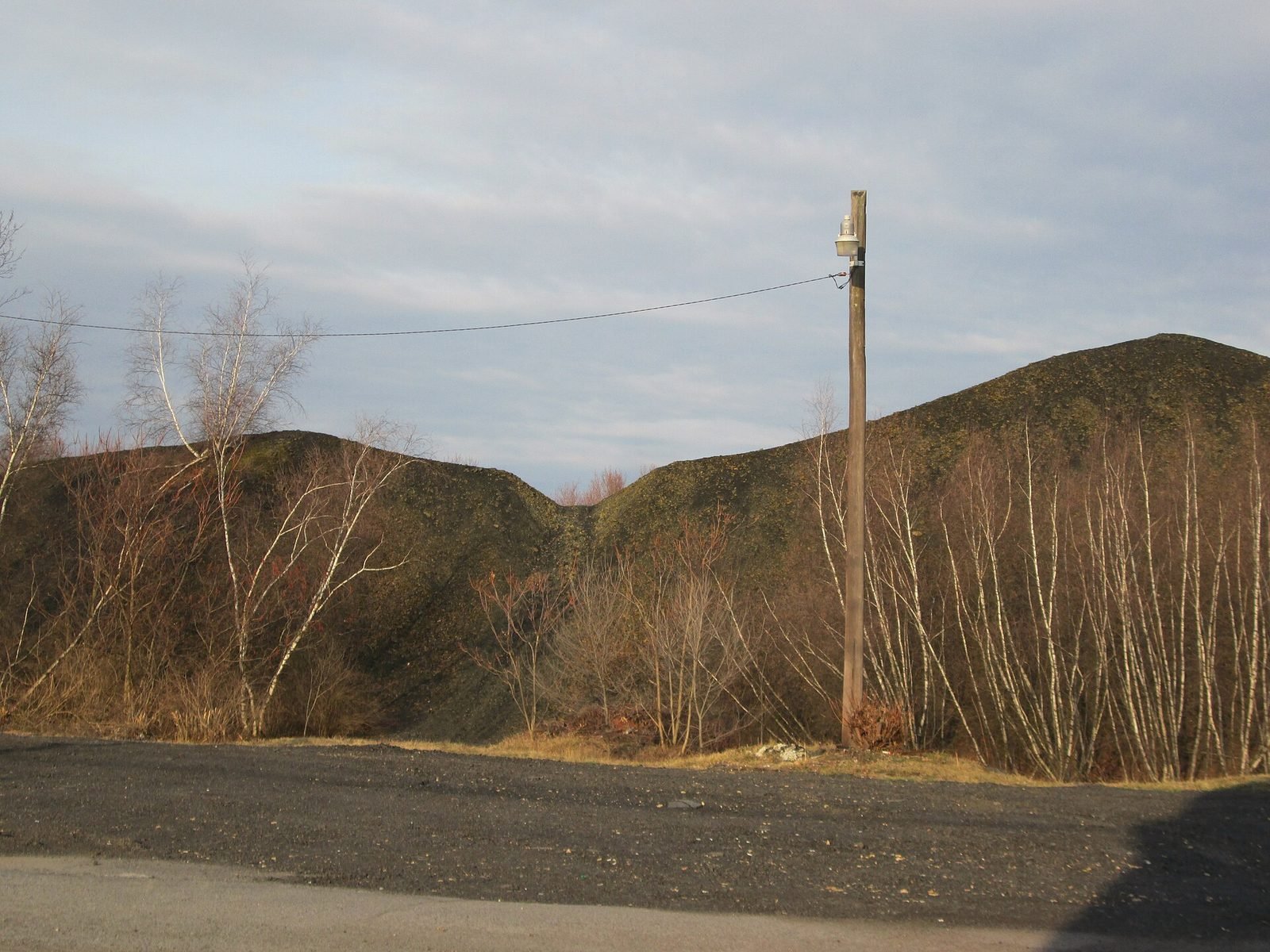 A dark culm bank of coal waste with birch trees along a road in Pittston, Pennsylvania