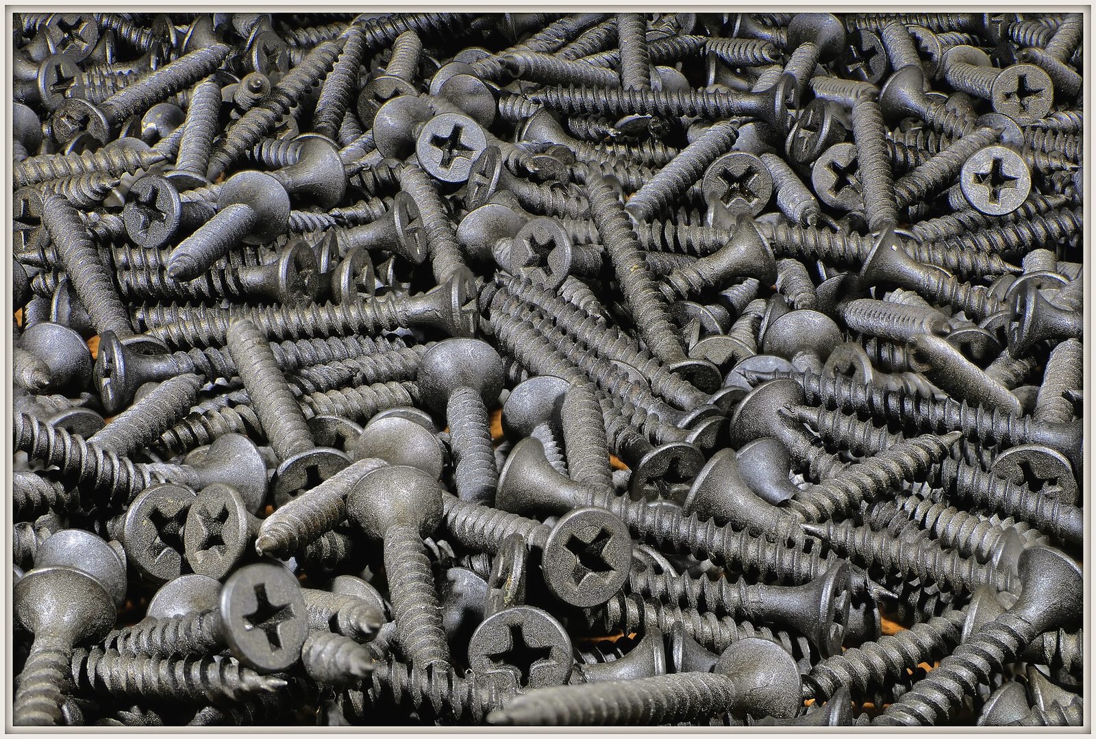A pile of loose Phillips-head screws