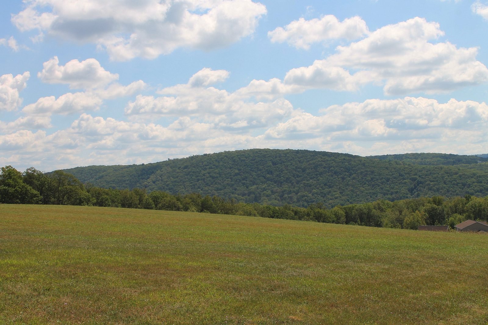 Hay field below a long wooded ridge in Shamokin Township, Pennsylvania